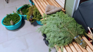 Бизнесмену незаконно отдали участок реки в Самаре под плавучую баню