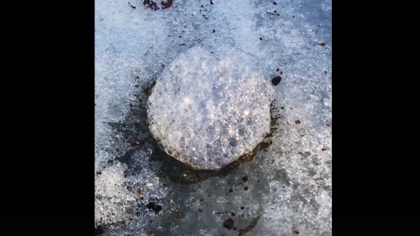В Самарской области из-под земли вырвались загадочные пузыри