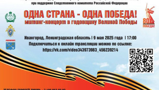 Следственное управление информирует о трансляции митинга-концерта «Одна страна – одна Победа!»
