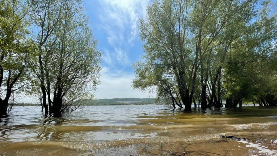В Самаре приступили к подготовке к паводку 2026 года