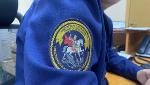 Глава СК РФ Бастрыкин затребовал доклад о слишком мягком приговоре суда в Самарской области 