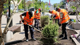 На ул. Ленинградской в Самаре высадят более 30 тысяч растений