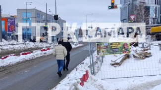 В Самаре пешеходы идут по проезжей части ул. Ново-Садовой с риском для жизни