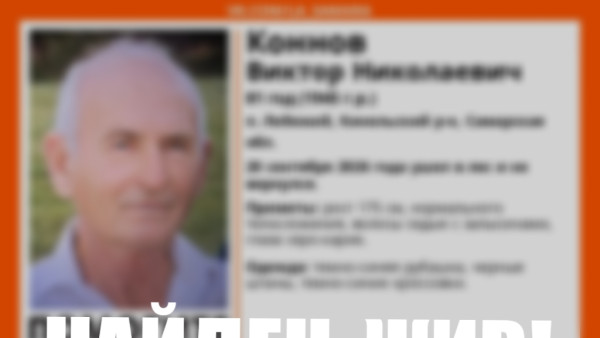 Найден живым: в Самарской области дважды выезжали на поиски пропавшего 81-летнего дедушки