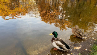10.10.2025: магия даты, нумерологическое значение и астрологический прогноз