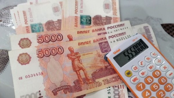 В Самарской области мошенники обманули врача на 6 млн рублей
