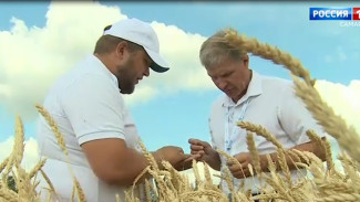 Самарцам продемонстрировали лучшие сорта и гибриды отечественной селекции сельхозкультур