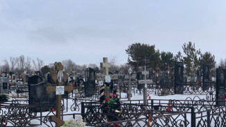 В Самаре не могут открыть новое кладбище из-за проблем с подрядчиком