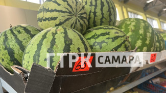 Стали известны цены на привозные арбузы в Самаре