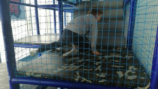 Распределение свободных мест в муниципальных детсадах Самары пройдет 26 января 2024 года