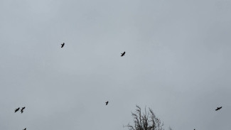 В Самарской область в ночь с 20 на 21 ноября объявлена угроза атаки БПЛА