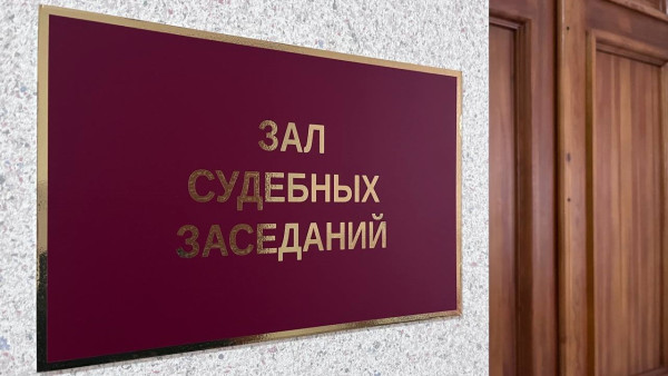 Жительницу Самарской области осудили за экстремистские призывы в соцсетях