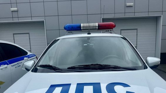 В Самаре водителям разрешат предъявлять права через сервис МАХ и «Госуслуги»