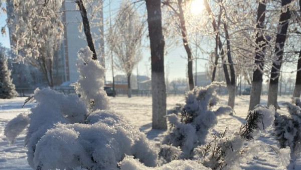 -34°C: Аномальные морозы ударят по Самарской области с 7-9 января 