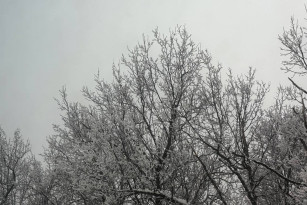 Из-за аномально холодной погоды в Самарской области объявлен оранжевый уровень опасности с 3 февраля