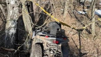 Женщина на квадроцикле влетела в дерево под Самарой и попала в больницу