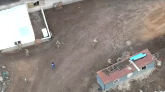 Под Самарой нелегальных мигрантов поймали с помощью БПЛА