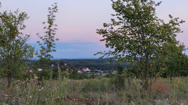 В Самарской области расширили поддержку для Героев и участников СВО: ввели бесплатное выделение земли 