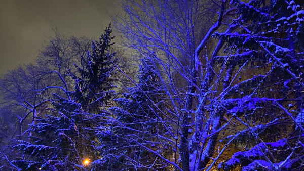 В Самарской области в выходные 25-26 декабря ожидаются снегопады и метели