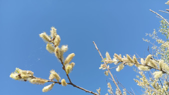 В Самарской области ожидается самая холодная апрельская ночь 