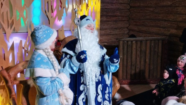 Самарская область вошла в число регионов с самыми "дешевыми" Дедами Морозами