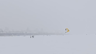 Новое экстренное оповещение от МЧС: в Самарской области вводится жёлтый уровень погодной опасности