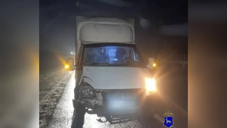 Полиция рассказала, кого насмерть сбила «Газель» на трассе М-5 под Самарой