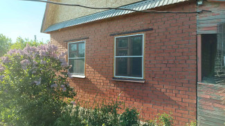 Самарским дачникам объяснили, за какие сорняки грозят штрафы до 5 тыс рублей 