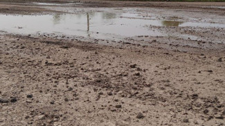 Бастрыкин взял на контроль дорогу в Самарской области