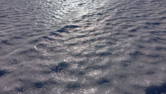 Самарцев просят отказаться от поездок на личных автомобилях 26 января