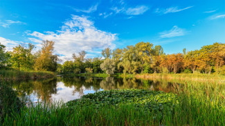 Участок на берегу озера Леснуха в Самаре повторно выставлен на торги из-за банкротства компании
