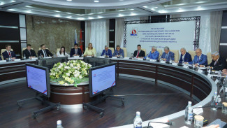 Молодые парламентарии Самарской области принимают активное участие в работе Ассоциации молодежных парламентов ПФО