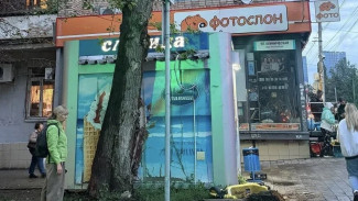В Самаре возбуждено уголовное дело после падения дерева на 13-летнюю девочку