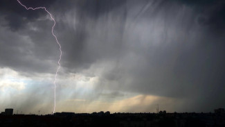 Мэр Самары отменил субботник, запланированный на 25 апреля 