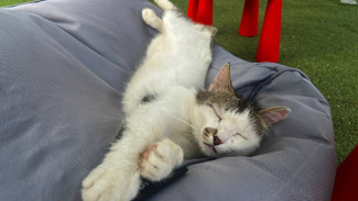 Каждый пятый самарец в отпуске скучает по работе