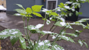 До −9 °C: конец октября встретит жителей Самарской области морозами