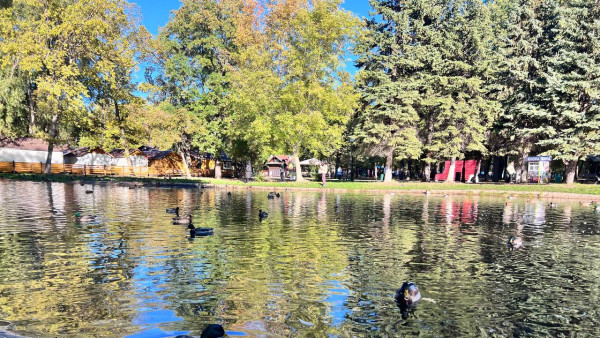 Самарские синоптики рассказали, когда в октябре начнется сезон дождей