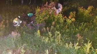 Две женщины погибли в ДТП с косулей под Самарой 