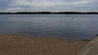 Штраф до 3000 рублей: самарцев предупредили о наказании за выгул собак на пляжах