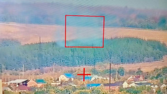 В Самарской области остановлено 2 лесных пожара