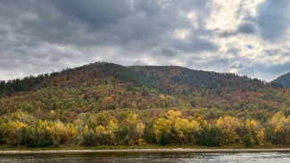 Нацпроект по очистке Волги в Самарской области провалился