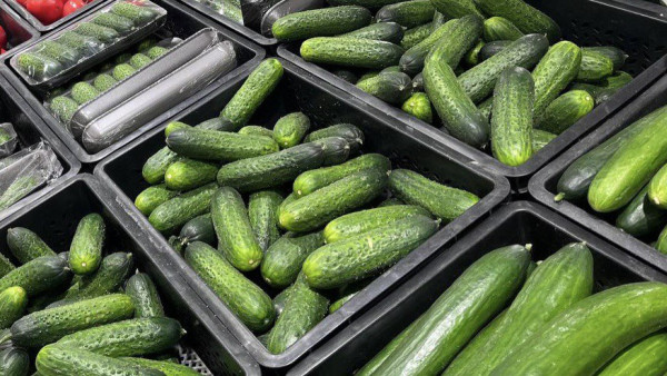 В Самаре за 1,5 млрд рублей хотят продать овощебазу на Олимпийской 