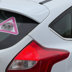 Самарцам грозят штрафы за шипованную резину, если не сменить ее за два месяца