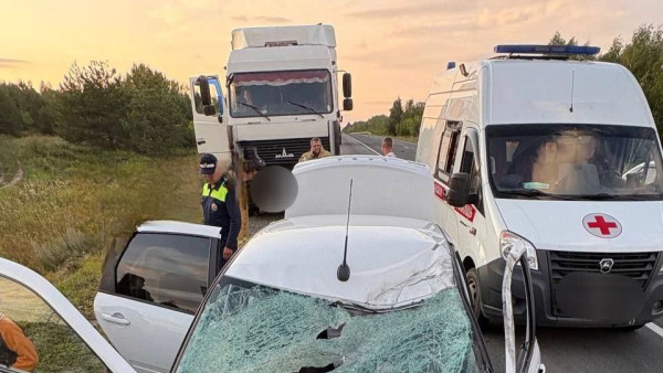 На трассе М-5 под Самарой в легковушку влетел лист металла