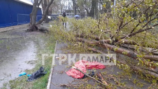 Появились кадры с места гибели девочки под деревом в Самаре 27 апреля