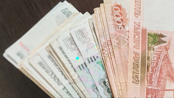 Самарский мошенник сядет на 3,5 года за отъем у пенсионера 3 млн рублей