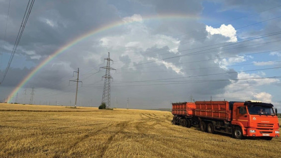 44 меры поддержки и рекордный урожай: итоги года для самарских аграриев