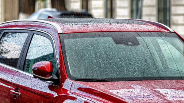 Глава СКР А.Бастрыкин поручил проверить ситуацию с обманутыми автомобилистами в Самаре