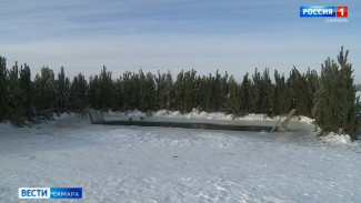 Снежная стихия и предстоящее Крещение Господне стали темами оперативного совещания в Правительстве региона