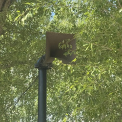 Самарцы стали слышать голоса в центре города 7 мая